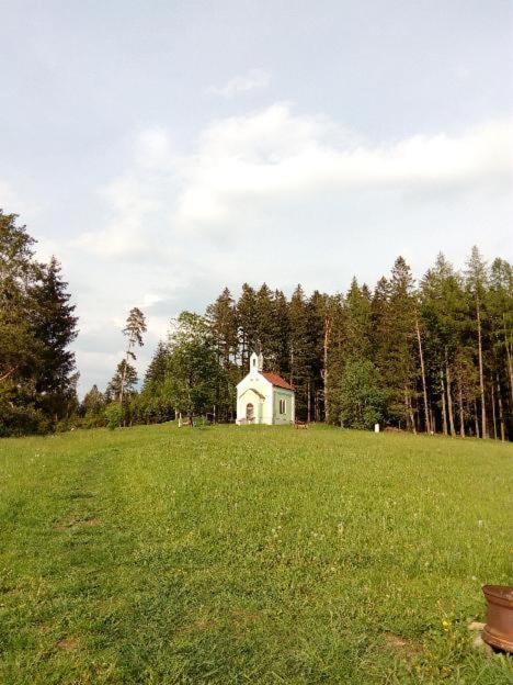 Apartmán Monny Frymburk Exterior foto